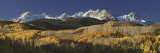 Autumnal View of Aspen Trees and the Rocky Mountains  San Juan National Park  Colorado  USA
