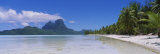 Palm Trees on the Beach  Bora Bora  French Polynesia