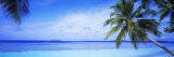Ocean  Island  Water  Palm Trees  Maldives