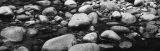 Rocks in the Swift River  White Mountain National Forest  New Hampshire  USA