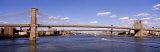 Brooklyn Bridge  New York City  New York State  USA