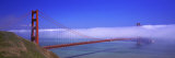 Golden Gate Bridge  California  USA