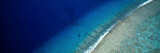 Aerial View of Beach  Teti'aroa Island  Polynesia