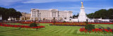 Buckingham Palace  London  England  United Kingdom