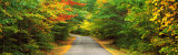 Road  White Mountain Forest  New Hampshire  USA