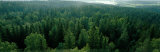 Finland  Aulanko  Scandinavian Forest