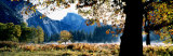 Half Dome  Yosemite National Park  California  USA