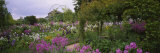 Flowers in a Garden  Foundation Claude Monet  Giverny  France