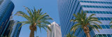 Low Angle View of Downtown Office District  Los Angeles  California  USA