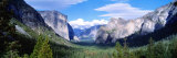 Yosemite National Park  California  USA