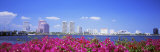 Panoramic View of the Waterfront and Skyline  West Palm Beach  Florida  USA