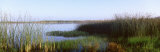 Pond  Half Moon Bay  California  USA