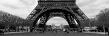 Black and White  Eiffel Tower  Paris  France
