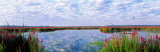 Montezuma National Wildlife Refuge  New York State  USA