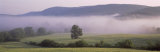 View of Mist Over a Hillside  Tuscany  Italy