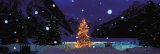 Tree with Lights and Chateau  Lake Louise  Alberta  Canada