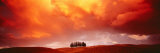 Sunset  Tuscany  Val d'Orcia  Italy