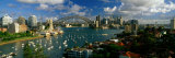 Harbor and City and Bridge  Sydney  Australia
