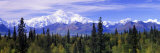 Alaska Range  Denali National Park  Alaska  USA