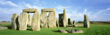 Stonehenge  Wiltshire  England  United Kingdom