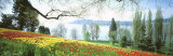Lake Constance  Insel Mainau  Germany