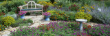 Park Bench in the Garden