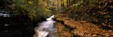 Buttermilk Creek  Ithaca  New York State  USA