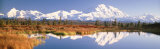 Pond  Alaska Range  Denali National Park  Alaska  USA