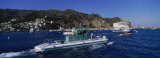 Boats in the Ocean  Santa Catalina Island  California  USA
