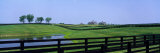 Horse Farm  Kentucky  USA