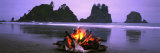 Bonfire on the Beach  Point of the Arches  Shi-Shi Beach  Washington State  USA