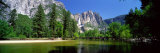 Yosemite Falls  Yosemite National Park  California  USA