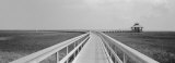 Marsh Boardwalk  Texas  USA
