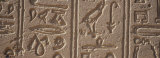 Close-up of a Hieroglyphics  Philae Island  Aswan  Egypt