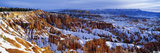 Bryce Canyon National Park  Utah  USA