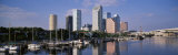Tampa  Florida  USA
