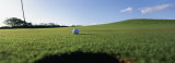 Golf Ball Entering the Hole  Kanapali  Hawaii  USA