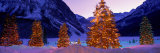 Lighted Christmas Trees  Chateau Lake Louise  Lake Louise  Alberta  Canada