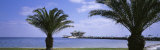 The Pier  St Petersburg  Florida  USA