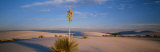 White Sands National Monument  New Mexico  USA