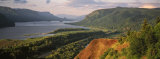 River Flowing Through the Valley  Columbia River Gorge  Oregon  USA