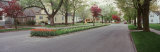 Street in the City  Holland  Michigan  USA