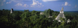 High Angle View of an Old Temple  Tikal  Guatemala