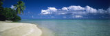 Palm Tree on the Beach  French Polynesia