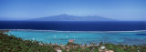 Aerial View of Trees Along a Coast  Tahiti  French Polynesia