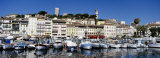 Boats Docked at a Harbor  Cannes  French Riviera  France
