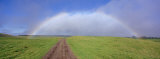 Rainbow Over a Landscape  Kamuela  Big Island  Hawaii  USA
