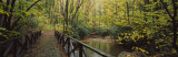 Footbridge Over a Pond in a Forest  Cucumber Run  Ohiopyle State Park  Pennsylvania  USA