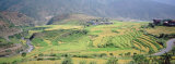 High Angle View of a Countryside with Terrace Rice Fields  Punakha  Bhutan