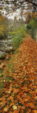 Leaves on the Grass in Autumn  Sneaton  North Yorkshire  England  United Kingdom